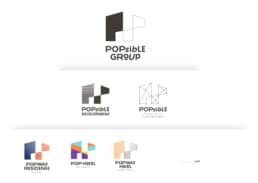 Popsible Group | Brand Identity Planning & Design