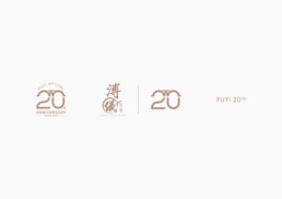 Puyi Optical | 20th Anniversary | visual identity design